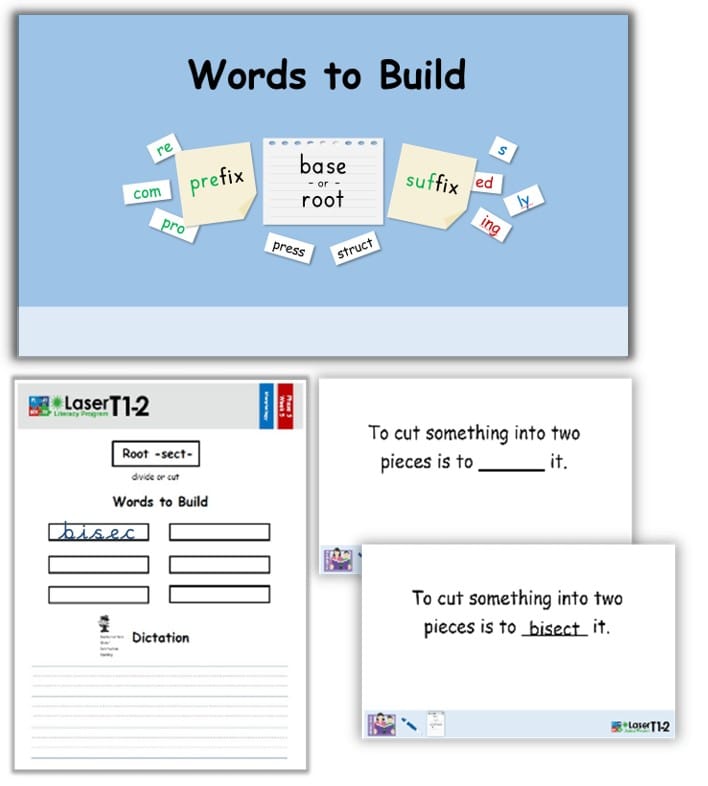 Screenshot 2024-11-25 104741