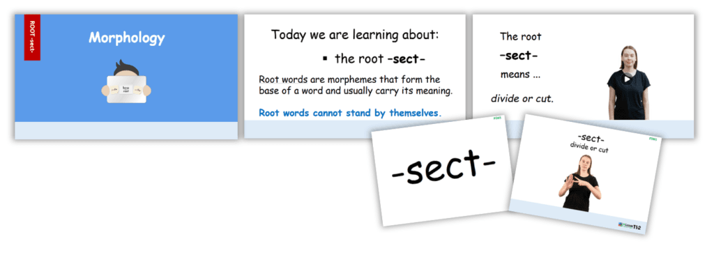 Screenshot 2025-01-21 193214