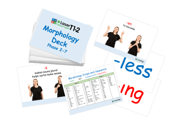 morphology cards
