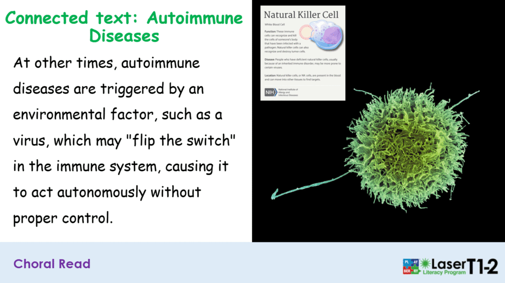 Screenshot 2025-10-08 150647